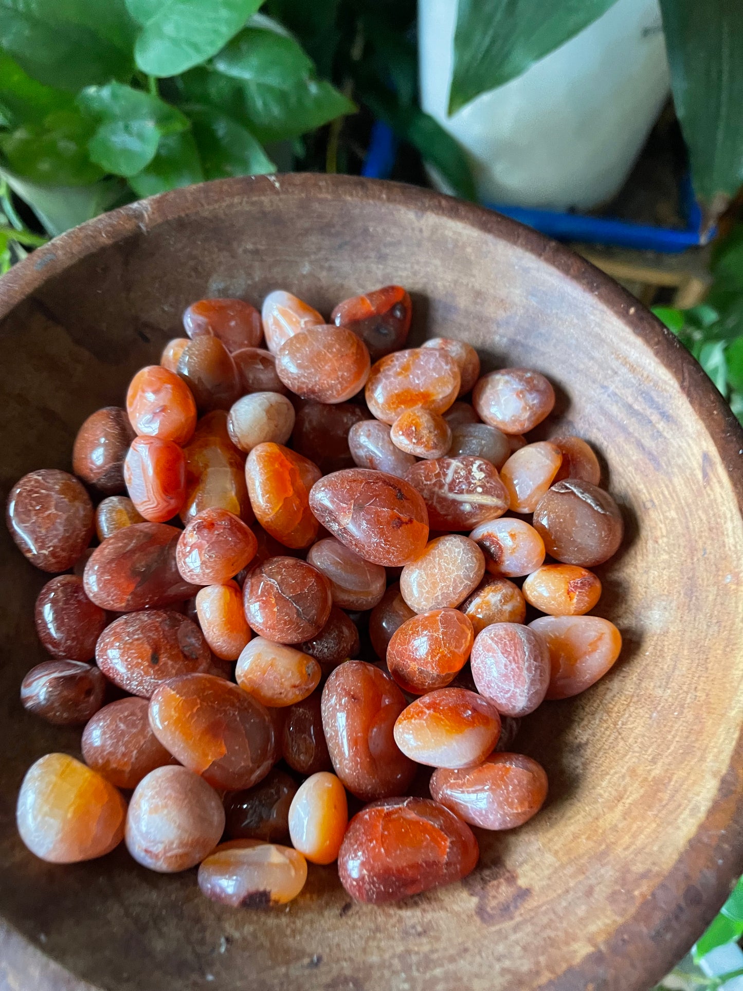 Carnelian — a composition in movement