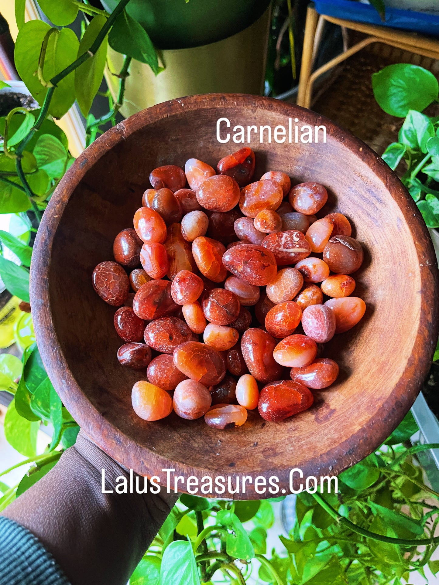 Carnelian — a composition in movement