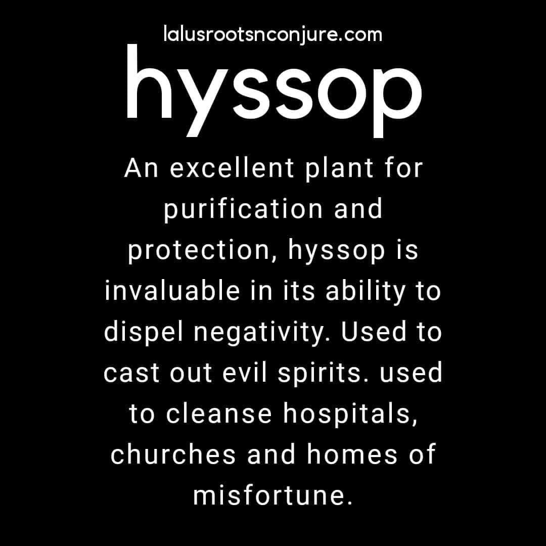Hyssop “Wash Me Clean” Floor Wash